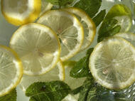 Stan: 🩵ZB1:Taerae,Jiwoong💜Aespa (Karina) 💚NCT: ⭐️DJJ (Jungwoo) ⭐️Dream(Renjun) casual listener for 127(ot8, ofc), wayv and wish!